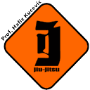 Icon Team Valais logo