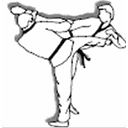 Kampfsportzentrum TSV Pfuhl logo