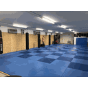 MAT Martial Arts Team Hannover logo