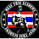 Muay Thai Academy Wernau logo