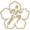Kampfsportschule Sini e.V. logo