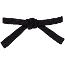 Shield Brazilian Jiu-Jitsu logo