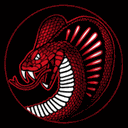 Saga Jiu-Jitsu logo