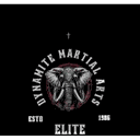 Dynamite Muay Thai & Martial Arts logo