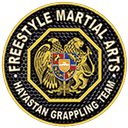 Hayastan MMA logo
