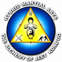 Hybrid Martial Arts logo