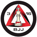 316 BJJ logo